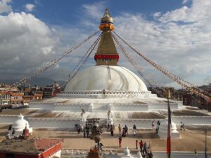 EPA DHAサプリの効果に関する口コミはどこで確認できる？