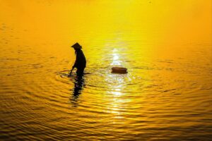 サプリメント通販で見つける最安値の購入方法は？