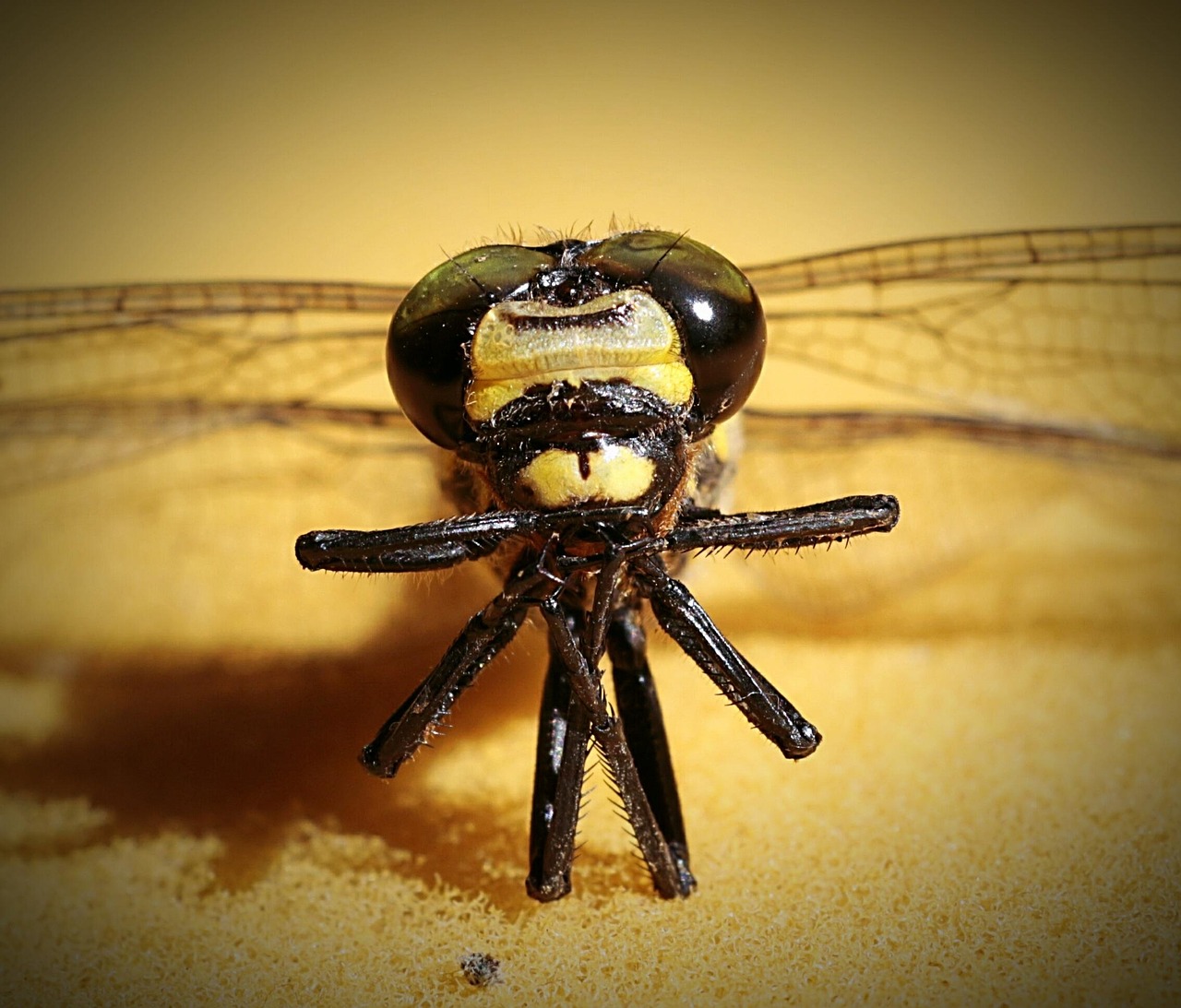 家族が抗うつ薬を飲み忘れた時の対策は？