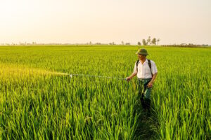 家族の多剤併用に関する相談先はどこですか？