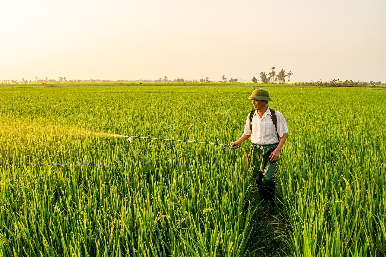 家族の多剤併用に関する相談先はどこですか？