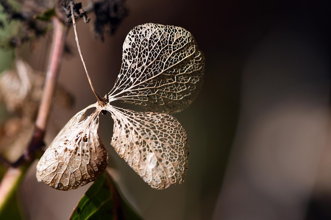 認知症患者における多剤併用の効果的な方法は？