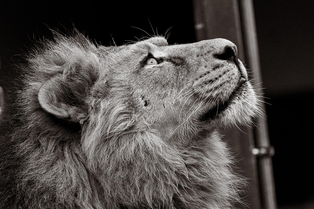 介護者が知っておくべき多剤併用のリスクとは？